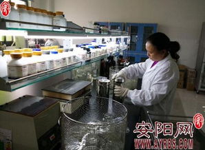 河南金百合 以微觀世界探秘驅(qū)動生物科技創(chuàng)新，開拓市場營銷新藍海